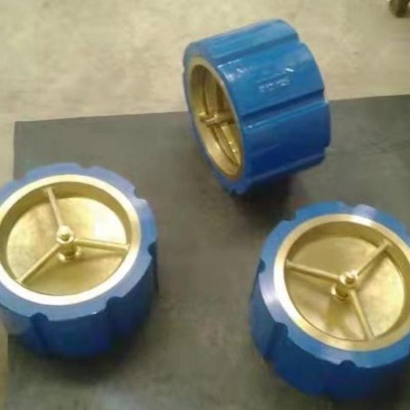 Slient Check Valve Wafer Type