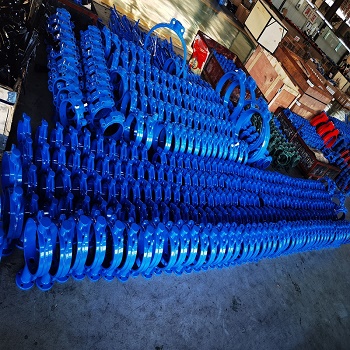 Ductile iron valve body blue colour.jpg