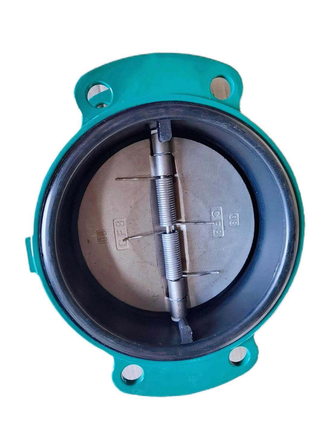 diefei 800 check valve.png