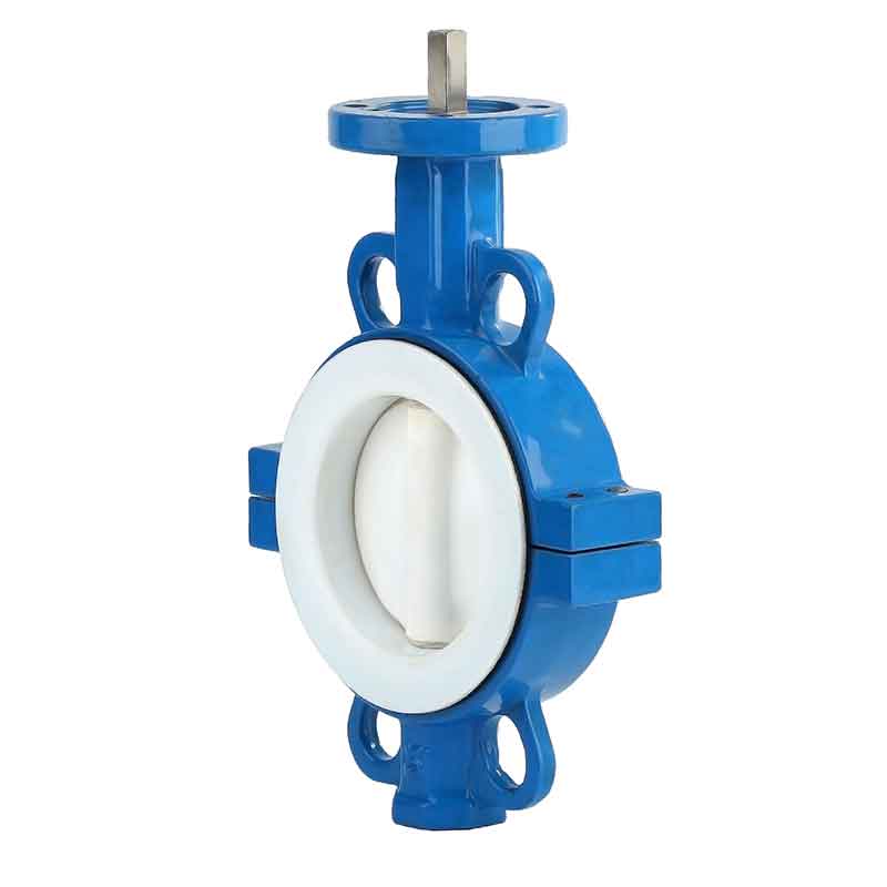 PTFE  or Rubber Coated Butterfly Valve Staliness Steel .jpg