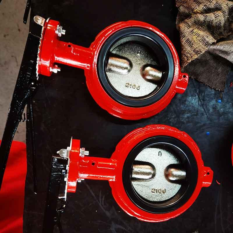 Bronze Butterfly Valve Flanged Type