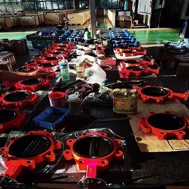 Sea Water Butterfly Valve EPDM Coated